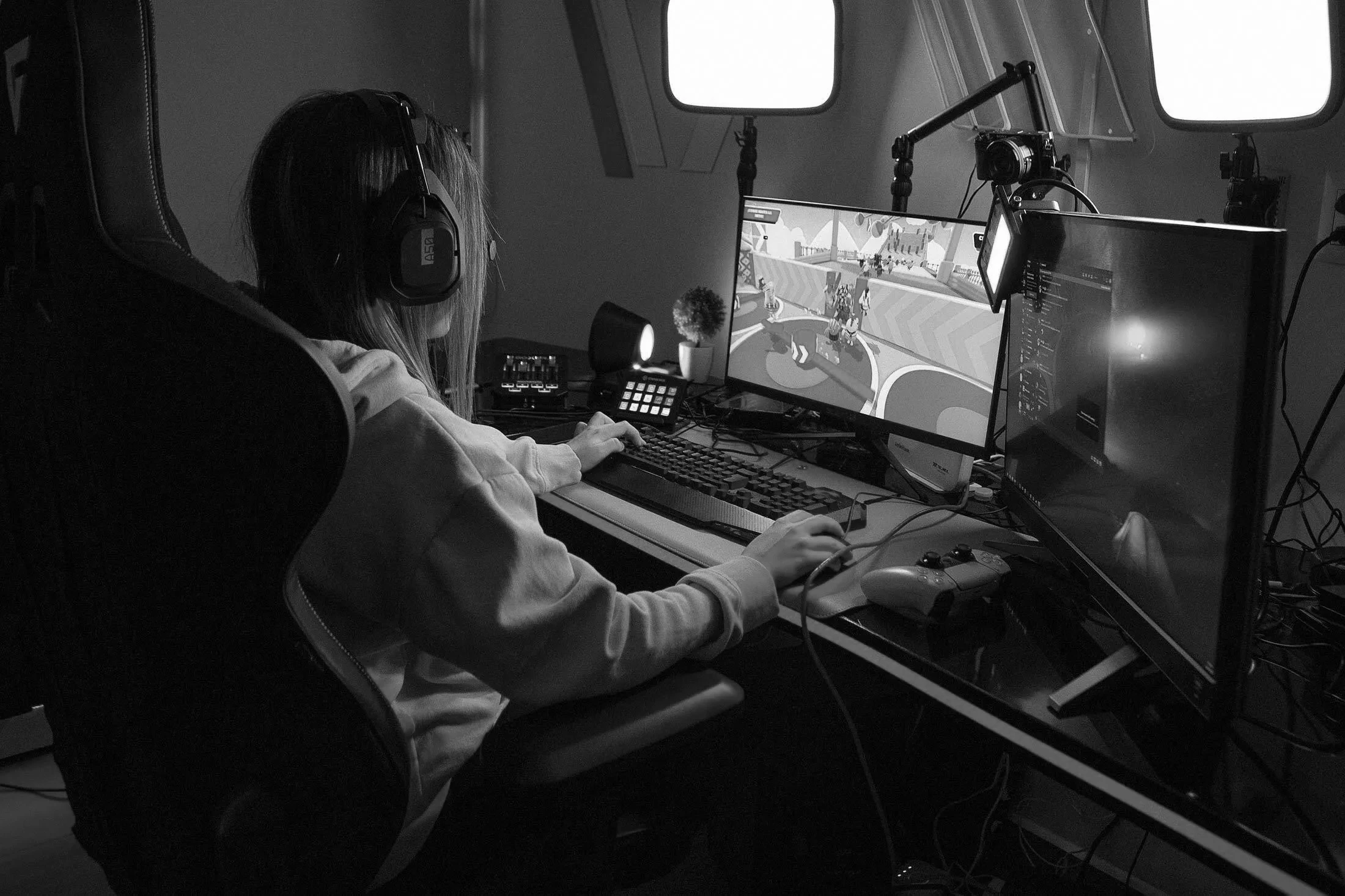 Image Alt